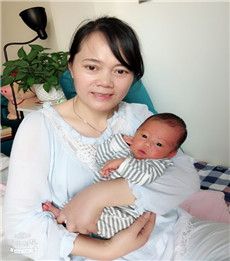 杨红菊PC01 杨红菊PC01