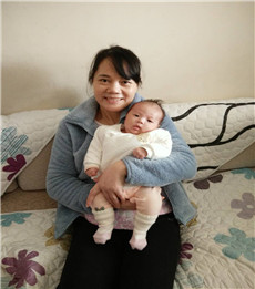 杨红菊PC04 杨红菊PC04