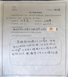 杨红菊PC08 杨红菊PC08