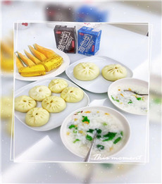 杨红菊PC06 杨红菊PC06