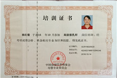 杨红菊PC01 杨红菊PC01