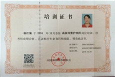 杨红菊PC02 杨红菊PC02